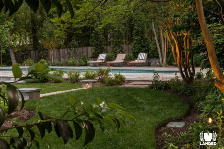 Seasonal Lawn Care – A Beginner’s Guide