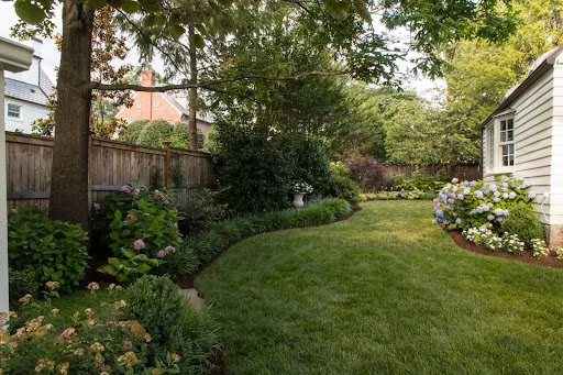 lush green lawn in backyard