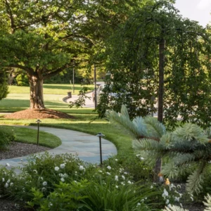 Landscape Design in Alexandria, VA