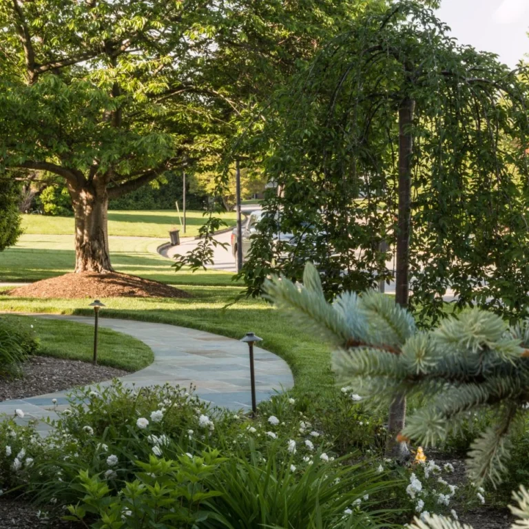 Landscape Design in Alexandria, VA