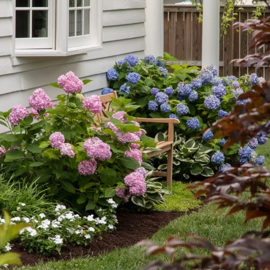 Lawn Care & Maintenance - Flowers