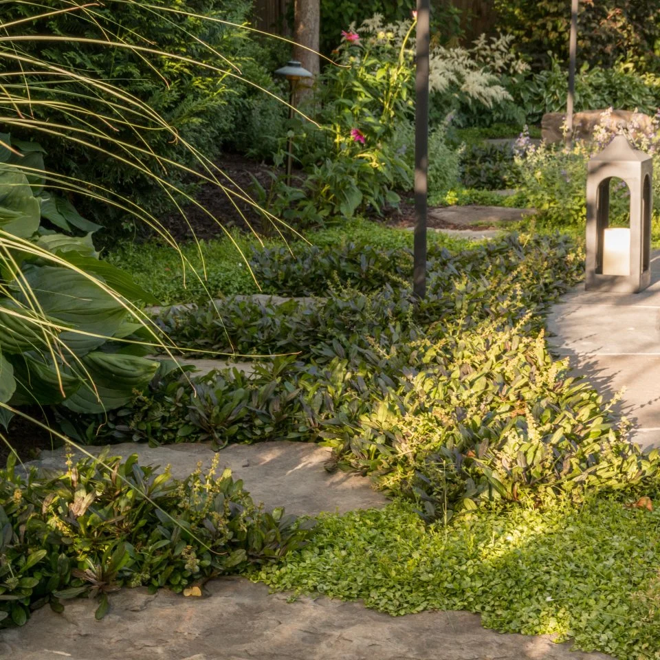 Lawn Maintenance in Alexandria, VA