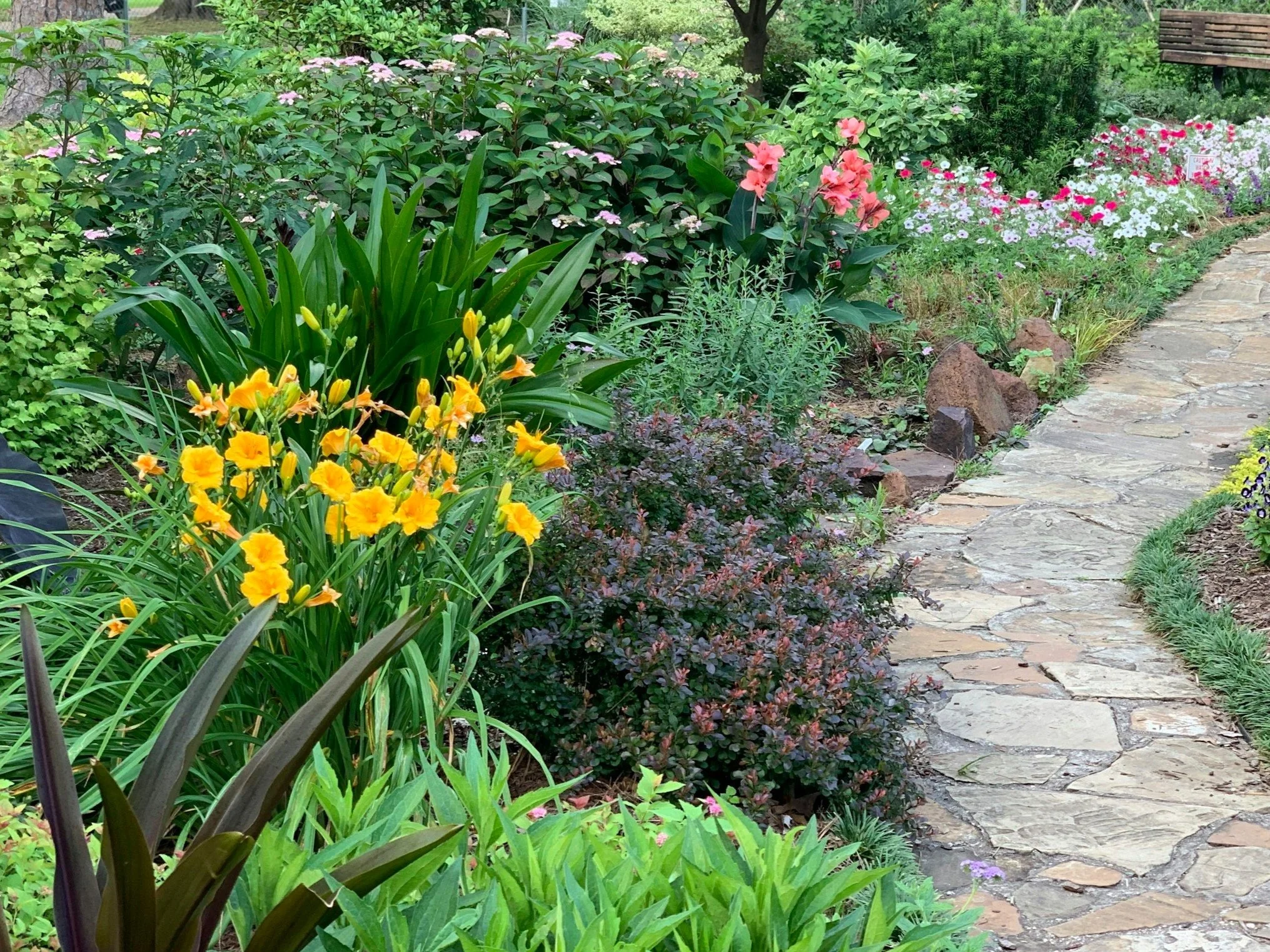 Weed-free landscape bed along a stone path in Northern Virginia