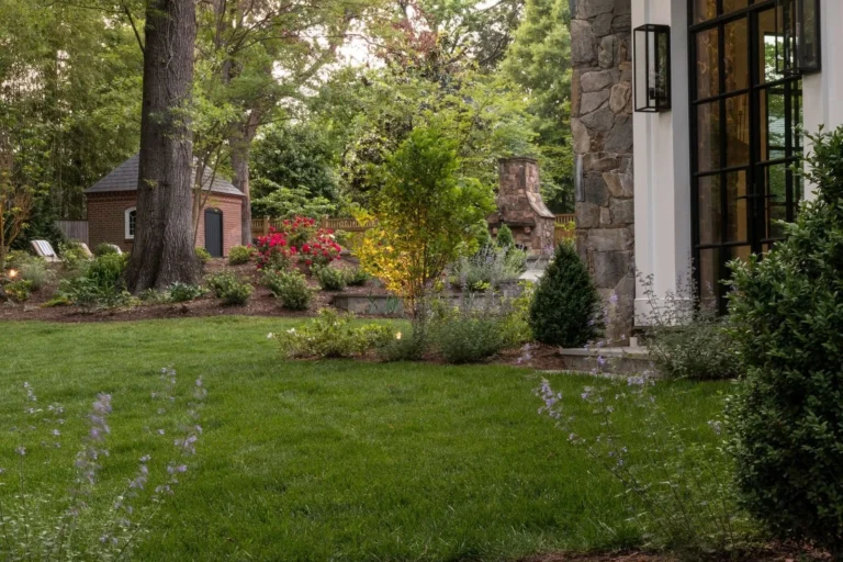 Aeration & Overseeding