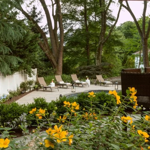 Landscaping frames a pool deck in Alexandria, VA