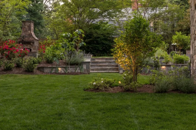 Aeration & Overseeding