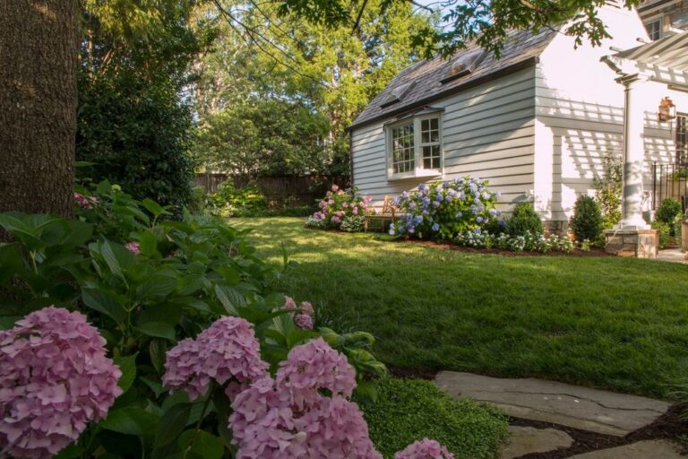 beautiful lawn in virginia backyard