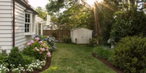 Native vs Non Native Plants in Northern Virginia are featured in an Arlinton yard in dappled sunlight