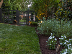 backyard gate and lush lawn